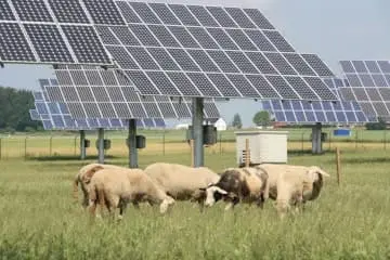Invernaderos solares y la energía agrovoltaica